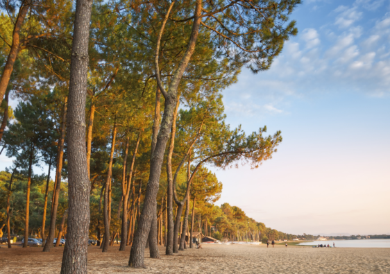 Lac de Hossegor