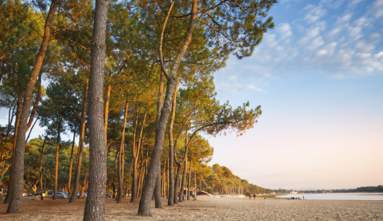 Lac de Hossegor