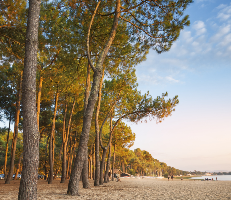 Lac de Hossegor